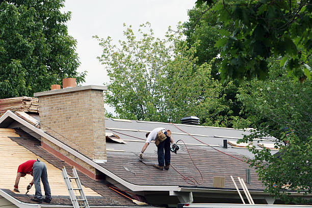 Best Roof Gutter Cleaning  in Acres Green, CO